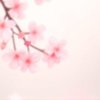 桜をモチーフにしたデジタルアートワーク